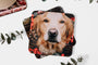 Flat lay of a Photo Coaster with a photo of a dog. 