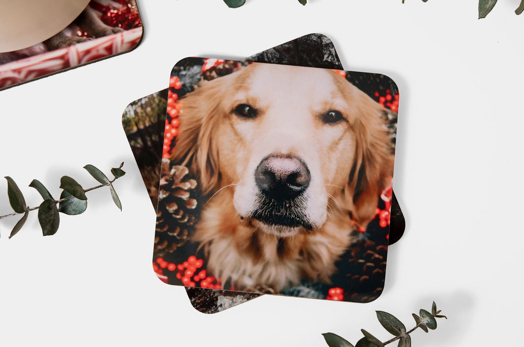 Flat lay of a Photo Coaster with a photo of a dog. 