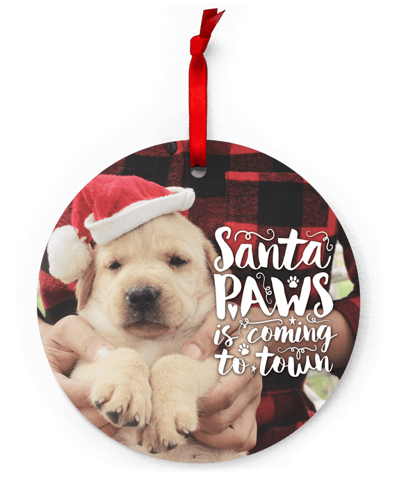 Santa Paws