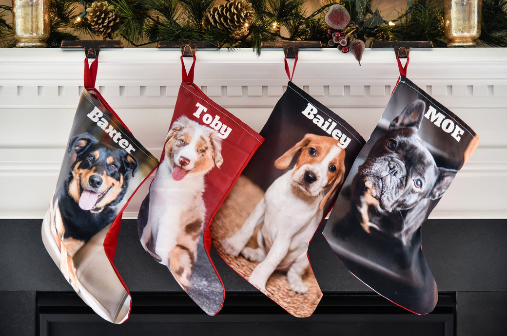 Four Photo Stockings featuring pictures of dogs.