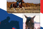 Equestrian 1 Portrait-Memory Mates-Nations Photo Lab-Portrait-Nations Photo Lab