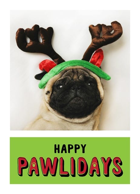 Happy Pawlidays-Postcards-Nations Photo Lab-Portrait-Nations Photo Lab