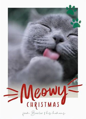 Meowy Christmas-Postcards-Nations Photo Lab-Portrait-Nations Photo Lab