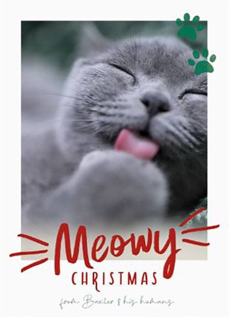 Meowy Christmas-Postcards-Nations Photo Lab-Portrait-Nations Photo Lab