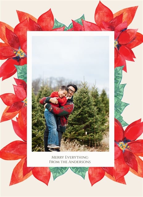 Peaceful Poinsettias-Postcards-Nations Photo Lab-Portrait-Nations Photo Lab