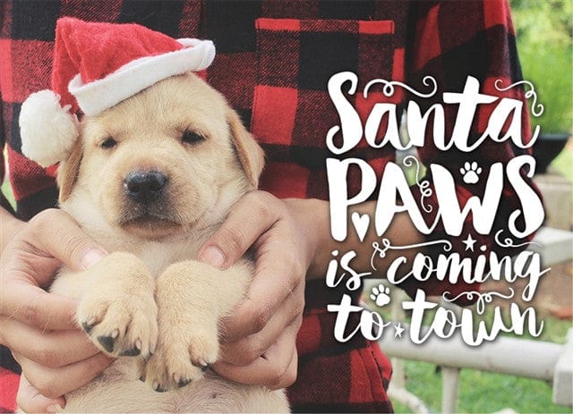 Santa Paws-Postcards-Nations Photo Lab-Landscape-Nations Photo Lab